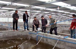 科技賦能 生態(tài)融合 重慶長(zhǎng)壽工廠化養(yǎng)魚模式對(duì)涪陵漁業(yè)發(fā)展的啟示