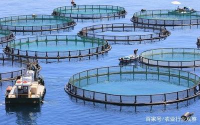 水產養殖迎來大考 國家定調綠色養殖，水產品養殖業轉型升級